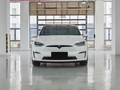Tesla Model X  Фото №2